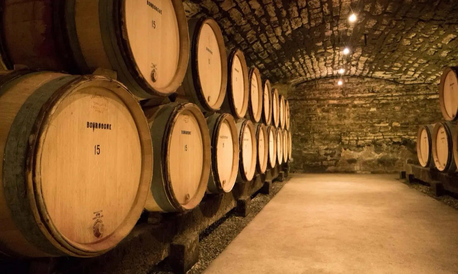 Fûts de chêne marqués « Bourgogne » dans une cave voûtée en pierre