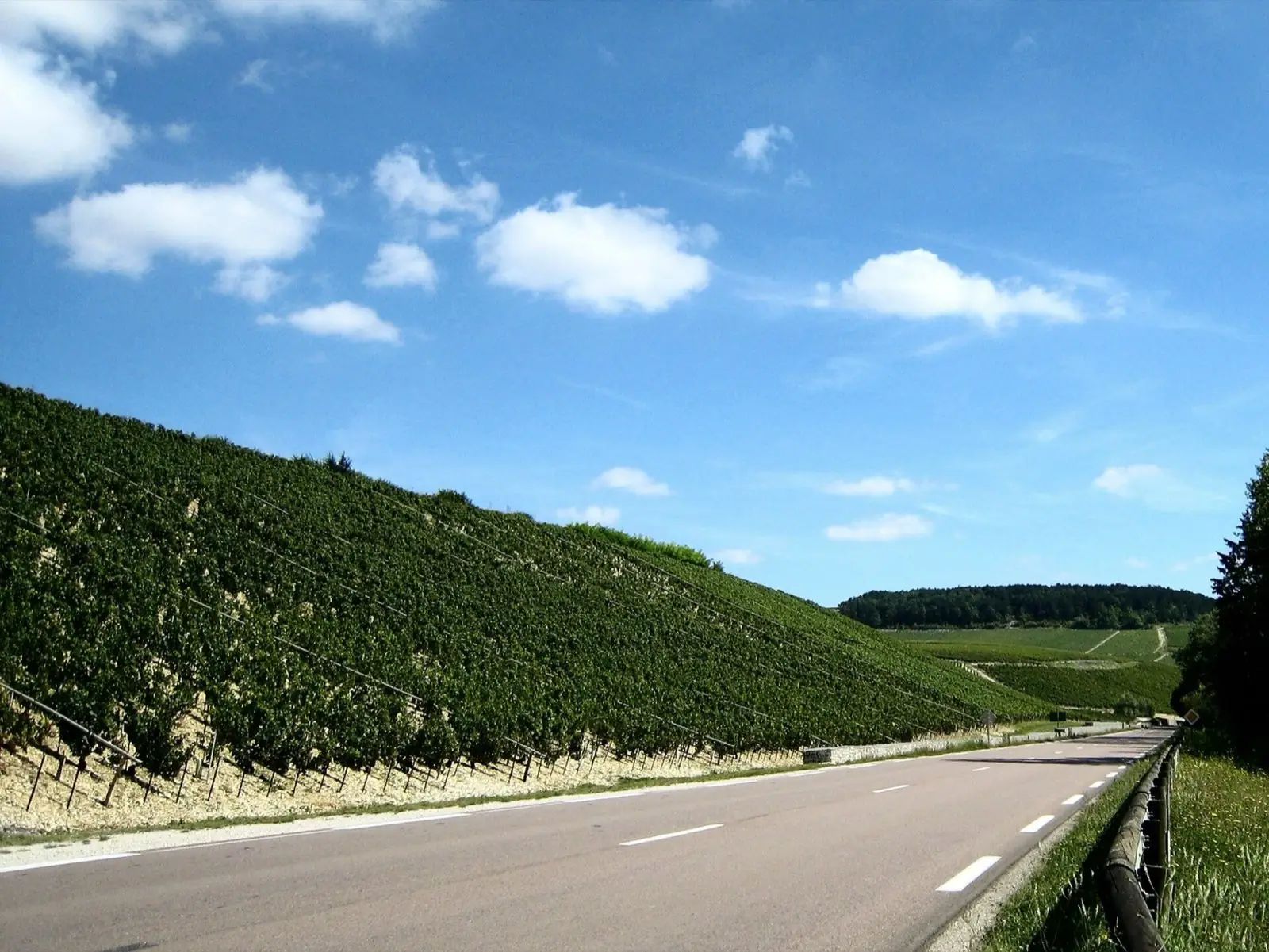 Coteau des grands crus de Chablis, climats Bougros et Vaudésir